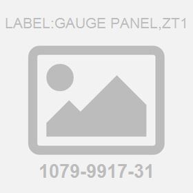 Label:Gauge Panel,Zt1